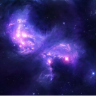 cosmos