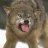 RedWolf